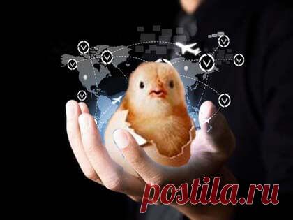 Технология блокчейн (blockchain) как она есть