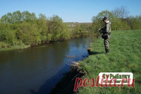 Советы при ловле с высокого берега / Богатая добыча