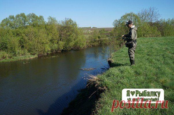 Советы при ловле с высокого берега / Богатая добыча