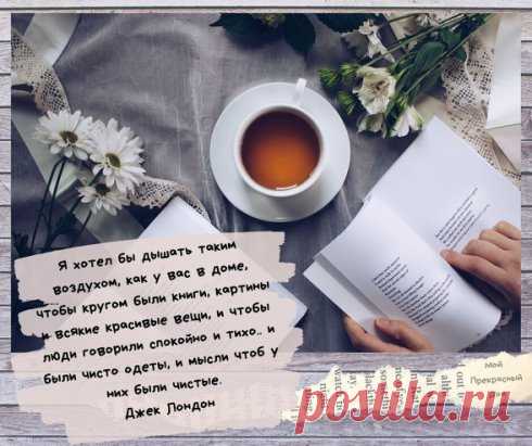 Я хотел бы дышать таким воздухом, как у вас в доме, чтобы кругом были книги, картины и всякие красивые вещи, и чтобы люди говорили спокойно и тихо.. и были чисто одеты, и мысли чтоб у них были чистые.
Джек Лондон
#Дом #Мойпрекрасныйдом #Цитатыодоме #джеклондон #уютвдоме