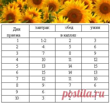 Применение настойки чеснока | Правила здоровья и долголетия