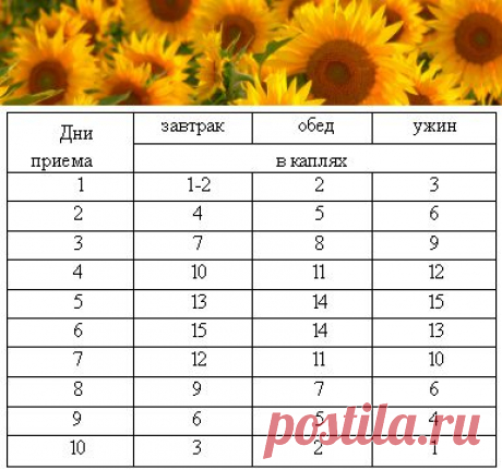 Применение настойки чеснока | Правила здоровья и долголетия