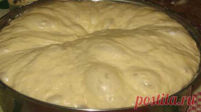 Рецепт самого вкусного теста для пирожков - lublugotovit.me