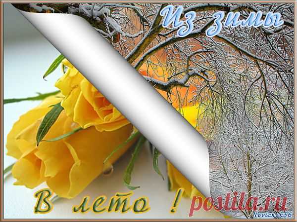 ЗАГИБАЕМ СТРАНИЦУ ПЛАГИНОМ AV Bros. Page Curl Pro 2.1.