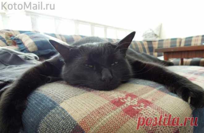 Коронное место