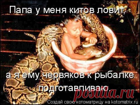 Круглый стол (котоматрица)