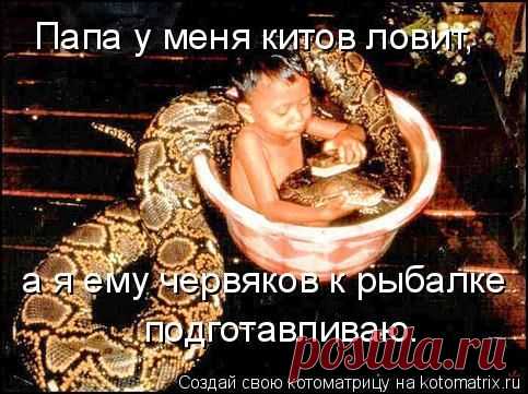 Круглый стол (котоматрица)