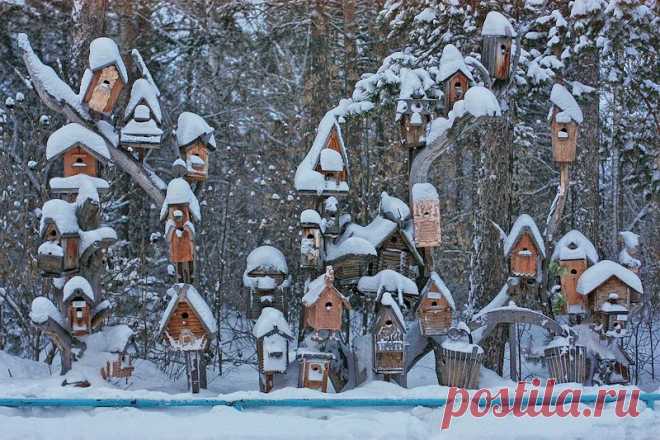 nsk-rezervist — «Живи где хошь...» на Яндекс.Фотках