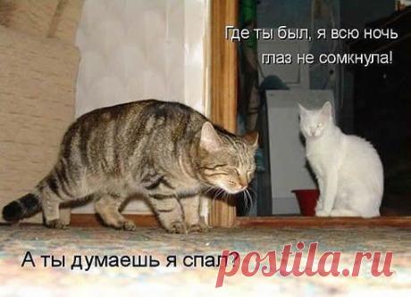 Интересные новости