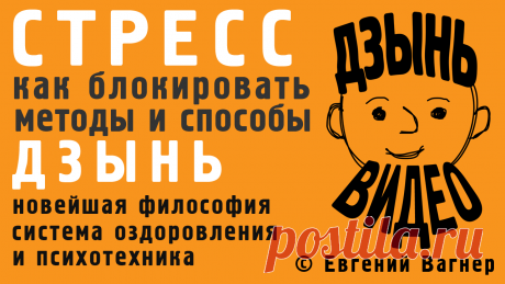 Видео по ДЗЫНЬ системе оздоровления и психотехнике | Евгений Вагнер