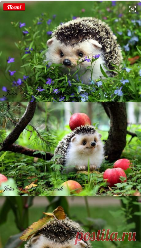 Pinterest • Всемирный каталог идей
