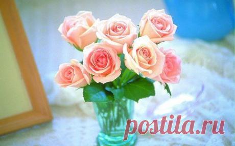 Красота спасет мир | рецепты, здоровье, юмор.