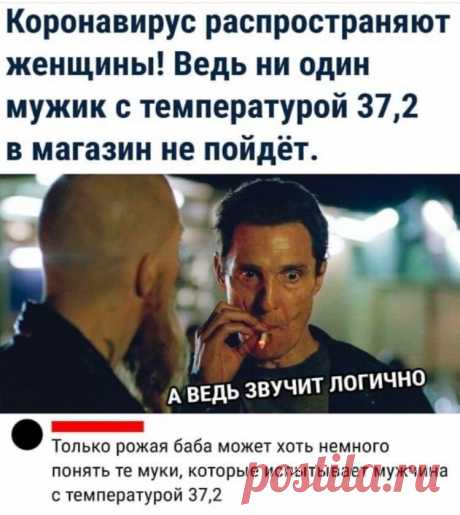 Рубрика "Карантин никто не отменял": свежие мемы этой недели | Gerda - обо всем | Яндекс Дзен