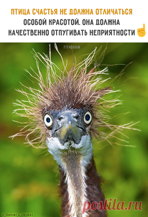 Именно 😂