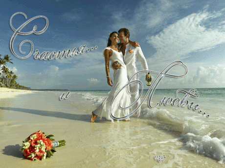 884013784.gif (GIF Image, 800 × 600 pixels)
