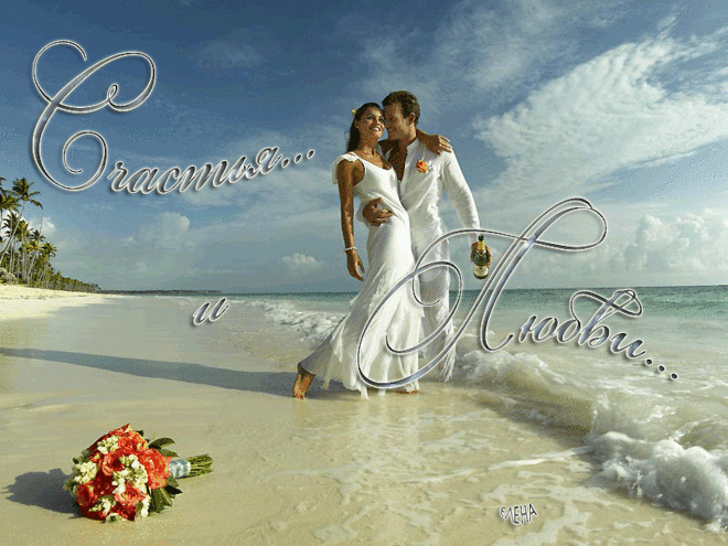 884013784.gif (GIF Image, 800 × 600 pixels)