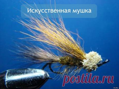 НА РЫБАЛКУ !!!!