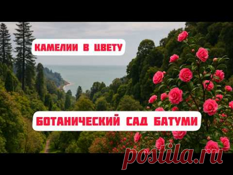 Самый красивый сад Грузии весной - Ботанический сад Батуми!