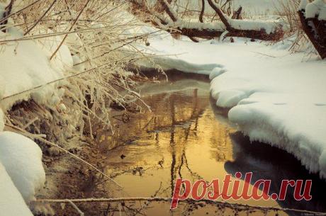 Зимнее фото | 501 фотография