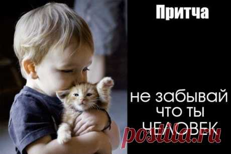 Притча Не забывай, что ты человек...