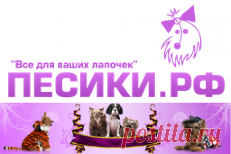 Интернет магазин Песики.РФ