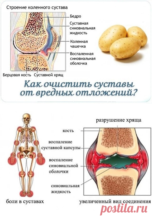 КОЛЕНО
