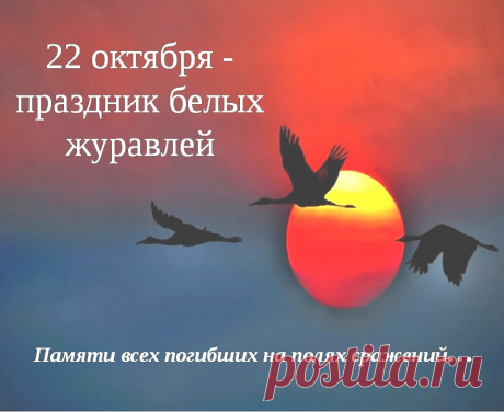 Неспокойно, на сердце тревожно.
Журавли так печально летят —
Взгляд от них отвести невозможно...
Это души погибших солдат. Открытки на День белых журавлей!