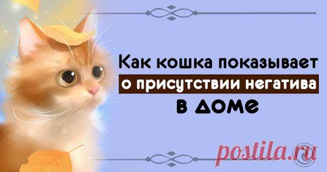Как кошка показывает о присутствии негатива в доме 


Кошка – одно из самых загадочных существ на нашей планете. Древние чтили кошек, в средневековье боялись, в наши дни стали любить. Не потому ли мы так относимся к кошачьему роду, что магии в одном т…