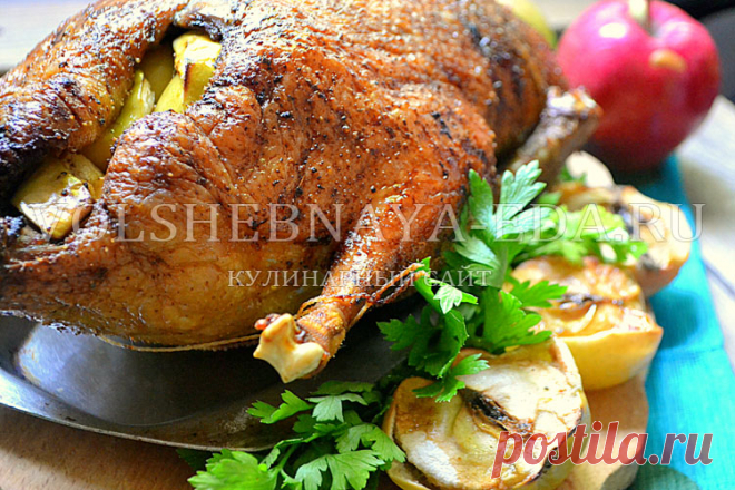 Утка в духовке. Все секреты вкусной запеченной утки в духовке, рецепт с фото | Волшебная Eда.ру