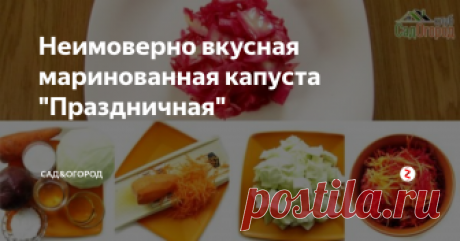 Неимоверно вкусная маринованная капуста "Праздничная" Мариновать капусту можно натуральными ингредиентами из своей грядки, чтобы получить красивый цвет, вкус и аромат пряностей. Используем для этого свеклу и морковь, чтобы придать натуральный насыщенный розовый оттенок и приятный вкус.
Собственный контент ©️ Клуб Сад&Огород