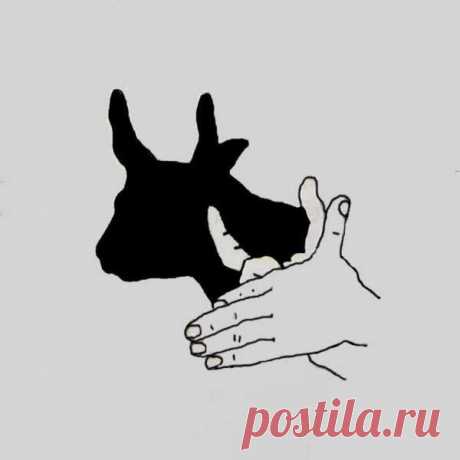 Интересные новости