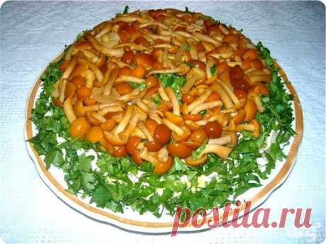 100 Вкусных рецептов с грибами