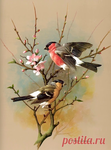 Найдено на сайте liveinternet.ru.