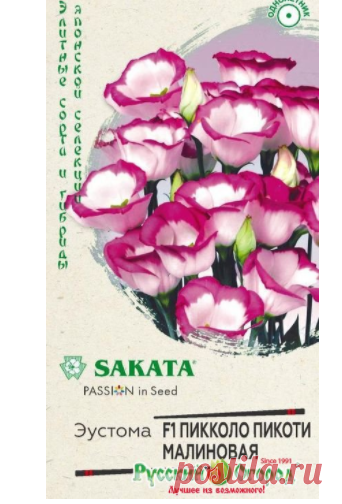 Семена Эустома Пикколо Пикоти малиновая F1: описание сорта, фото. Купить с доставкой или почтой России.