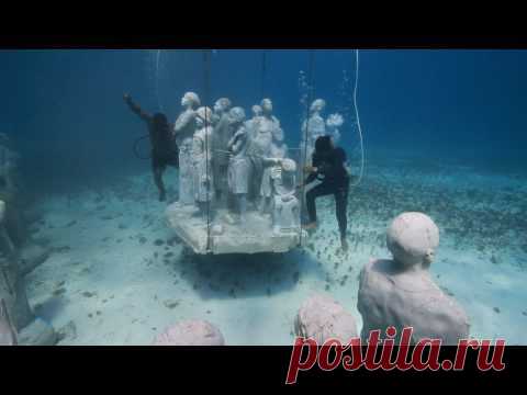 Подводные скульптуры превращаются в чудеса природы &bull;  НОВОСТИ В ФОТОГРАФИЯХ