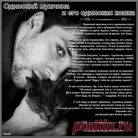 Мужчина и кошка... Шотландский Виски.