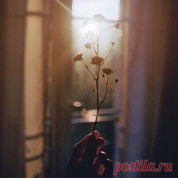 КАКОЙ СЕГОДНЯ ПРАЗДНИК? 27 Марта 2017 г. – Понедельник • Международный день театра (World Theatre Day)56 лет • День нефролога • День летающих свинок • День войск национальной гвардии РФ21 год • День гусиной кожи • День победы - Ангола • Праздник цветения сакуры - Япония • Именины у Михаила, Венедикта, Ростислава • Федор-скотник