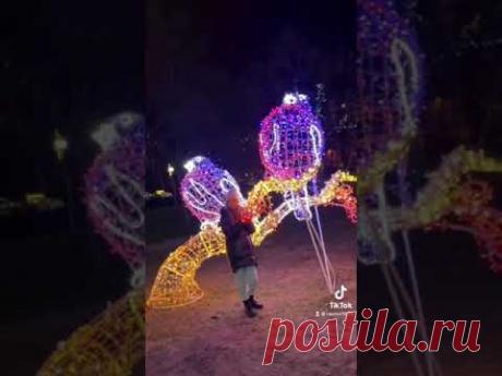 Брест праздничные огни на Савушкиной продукте