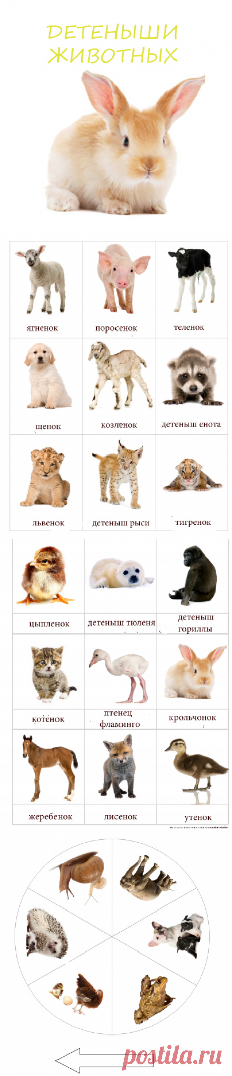 Развивающие занятия дома с детьми 2-3 лет - Поделки с детьми | Деткиподелки