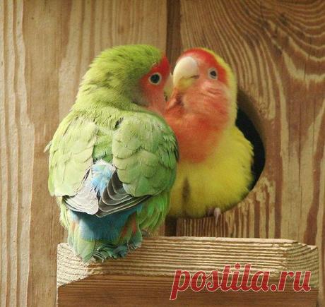 Мой Мир@Mail.Ru