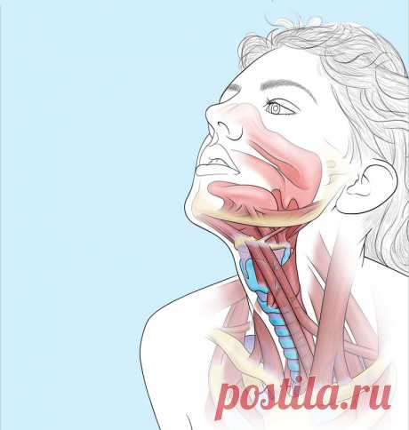 7 оздоровительных упражнений по Стрельниковой. Парадоксально, но эффективно Дыхательная гимнастика Стрельниковой названа парадоксальной, потому что во время вдохов грудная клетка не расширяется, как обычно, а сжимается (охватывается руками либо удерживается от расширения за счет наклонов и поворотов туловища). В традиционных же дыхательных упражнениях вдох делается на фоне движений, расширяющих грудную клетку (например, при разведении рук в стороны), а выдох – при движения...