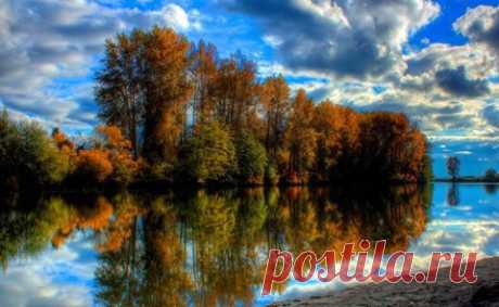 (3) Facebook