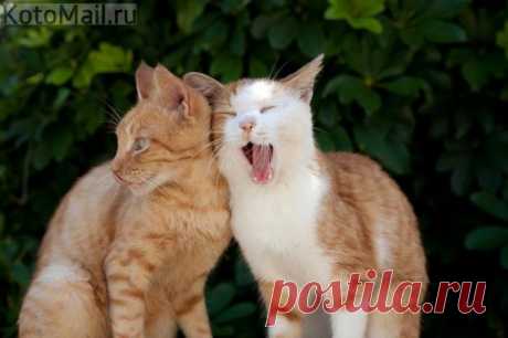 Я из релакса ещё не вышел...