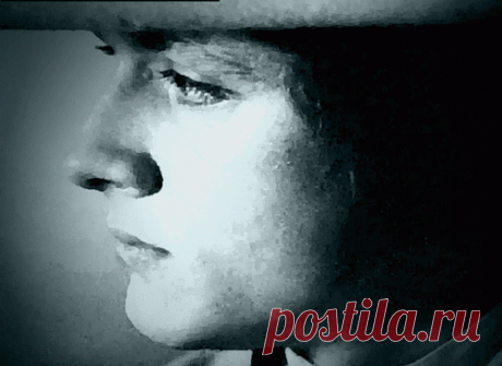 Владимир Шевельков. В моей жизни прошу винить...