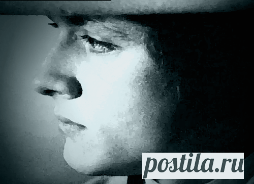 Владимир Шевельков. В моей жизни прошу винить...