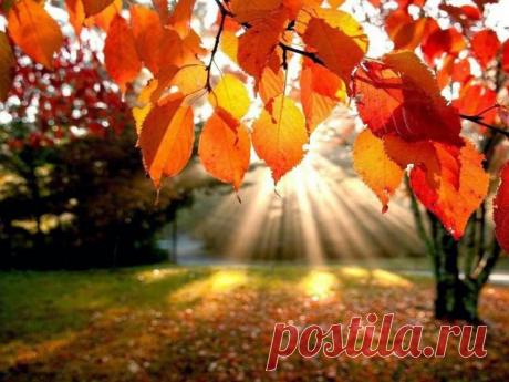 Приметы на Покрова: какой будет погода зимой?