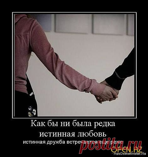 Истинная дружба - редкость