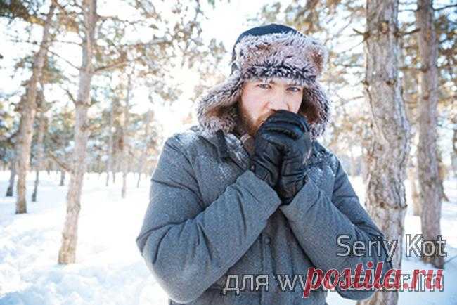 Выбираем мужской гардероб для зимы