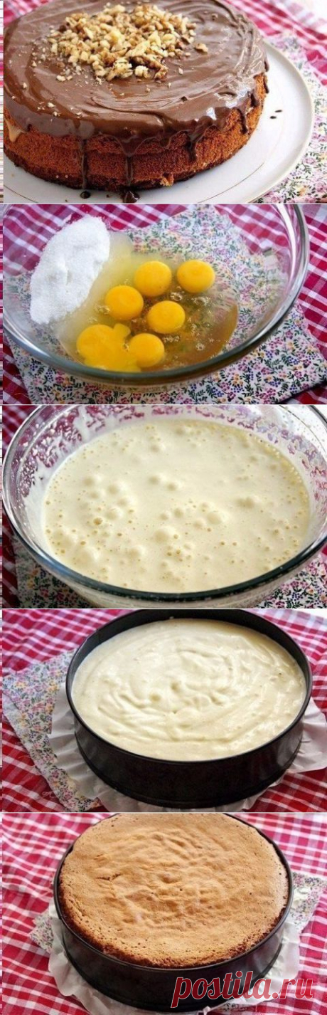 Медовый бисквит «Цыганский барон» | Вкусный каприз.