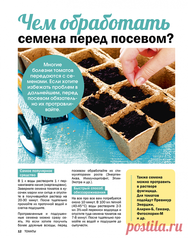 Томаты - секреты успеха (pdf журнал скачать)
